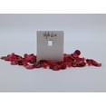 thumbnail image 2 of Style & Co Shell Pink Rope Long Necklace, 2 of 3