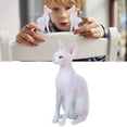 thumbnail image 4 of Delicate Durability Cat Model, Hairless Cat Model, For Collectors Teachers PL127-1562,PL127-1563, 4 of 8