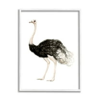 Stupell Industries Ostrich Bird Watercolor Portrait Kids' Nursery Wildlife Animal, 11 x 14,Design by Fox Hollow Studios