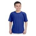 thumbnail image 1 of Gildan Performance T-Shirt Jeunesse, 1 of 1