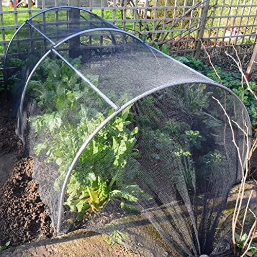 Agfabric Insect Garden Netting against Bugs 8'x30' protect vegetables 3 Pack 