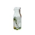 thumbnail image 1 of 850ml Heat-resistant Glass Pitcher For Milk Ice Coffee Water And Juice Refrigerator Jug Teapot Carafe Cold Brew Drinking Bottle, 1 of 6