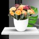 thumbnail image 1 of Gwong Decoración hogareña Matthiola artificial Floya Flowa Bonsai Jardín Hogar nupcial Bodas Decoración de la fiesta Gwong 21054766, 1 of 7
