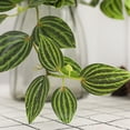 thumbnail image 4 of Decoración de boda estilo bosque flores colgantes de pared de plantas verdes simuladas - 96 piezas de hojas de cejas moradas - blanco y verde material: plástico tamaño total ANGGREK Otros, 4 of 8