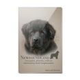 thumbnail image 1 of Newfoundland Dog Breed Rectangle Acrylic Fridge Refrigerator Magnet, 1 of 5