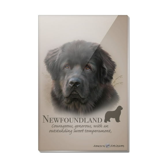 Newfoundland Dog Breed Rectangle Acrylic Fridge Refrigerator Magnet