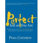 Perfect Just as You Are : Buddhist Practices on the Four Limitless Ones--Loving-Kindness, Compassion, Joy, and Equanimity (CD-Audio)