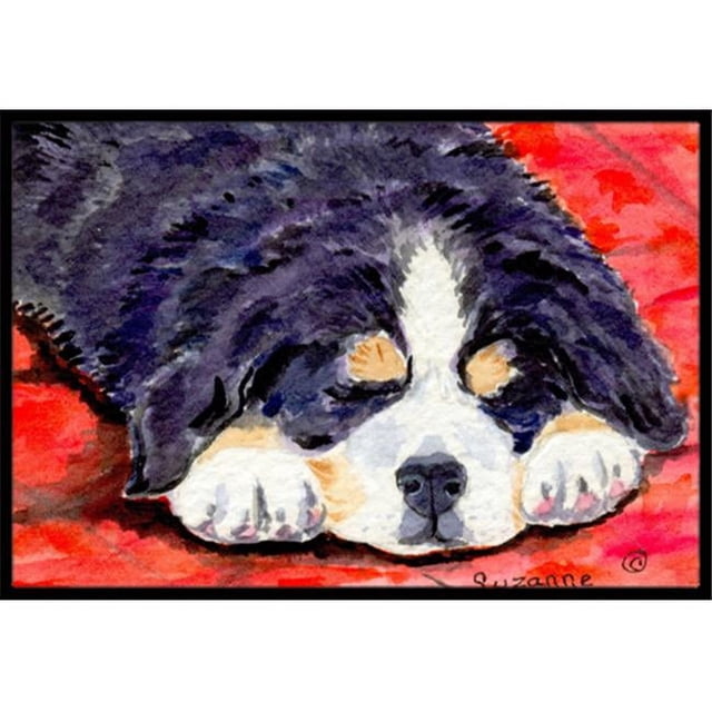 Carolines Treasures SS8828MAT Bernese Mountain Dog Tapis Intérieur Extérieur - 18 x 27 Po.