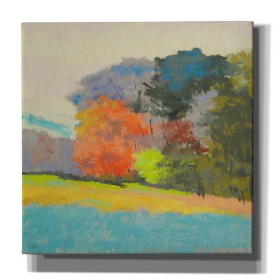 Epic Graffiti 'Fox Farm Woods' by Mike Kelly, Canvas Wall Art, 37"x37"