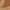 Terracotta/Natural, variant on SAFAVIEH Courtyard Annabelle Floral Indoor/Outdoor Area Rug, Natural/Gold, 6'7" x 9'6"