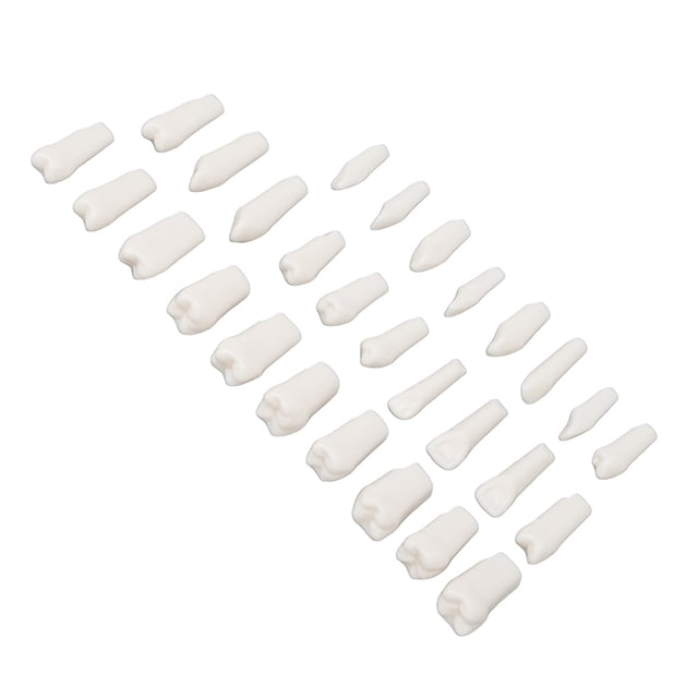 Dentaduras postizas BuyWeek 28 piezas kit de dentadura extraíble