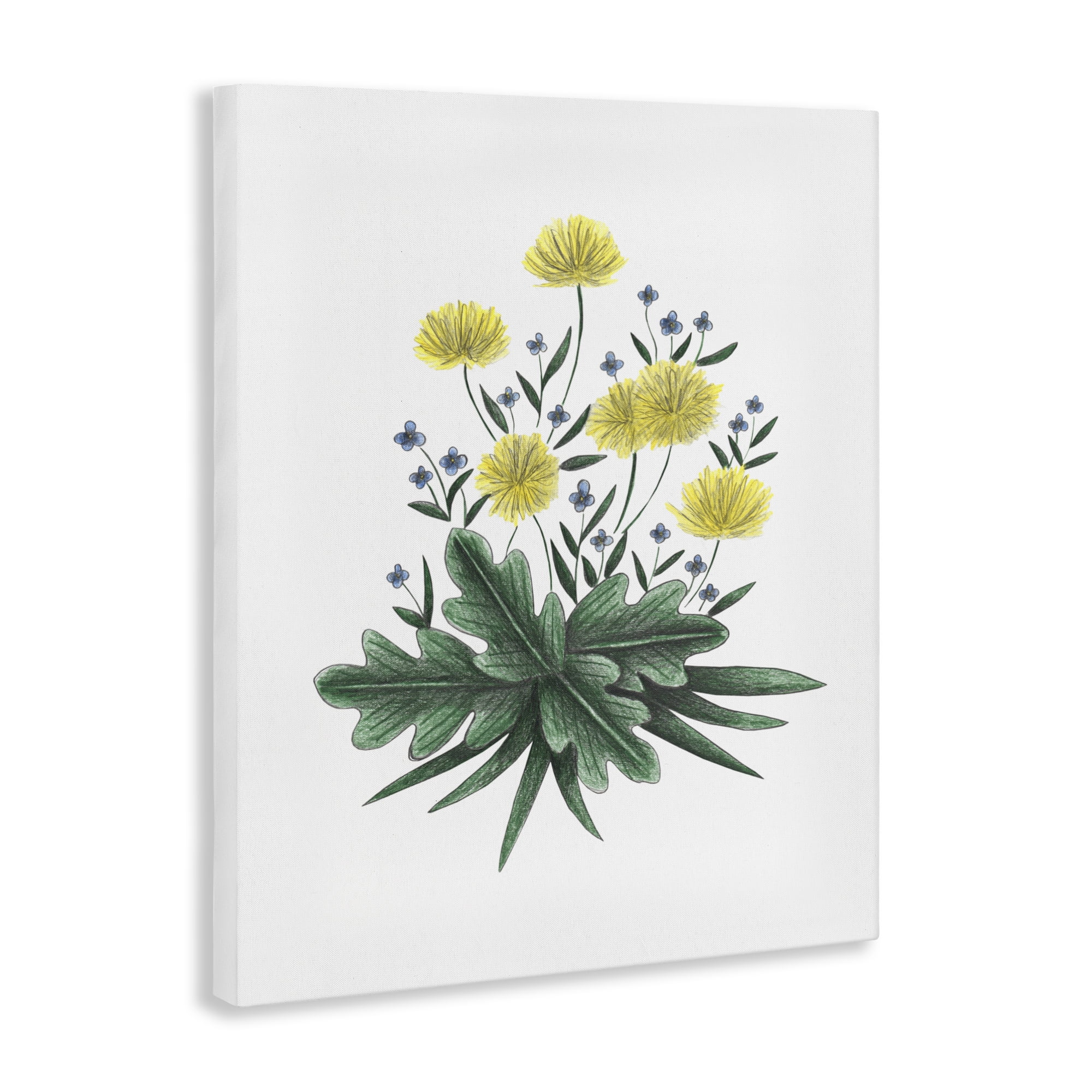 Dandelion Flower Illustration Canvas Wall Art, design by Cecilia Battaini