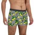 thumbnail image 5 of Men's Boxer Briefs, Lemons on Striped Soft Comfy Mens Underwear Boxer Briefs Breathable With Widen Waist, 5 of 7