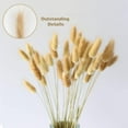 thumbnail image 5 of Natural Large Bouquet for Wedding & Home Decor, Perfect Accent for Bedrooms and Living Rooms 50-piece Dried Pampas Grass Bundle Bienvenido, 5 of 8