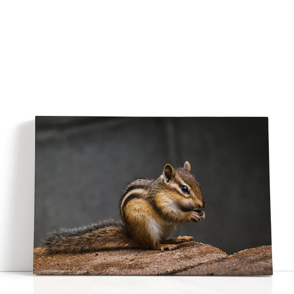 Chipmunk With Stone in His Cute Hands - Wrapped Canvas Print Wall Art | 18" W x 12" H
