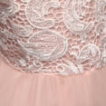 thumbnail image 3 of Baby Girl's Sequin Mesh Dress Kids Lace Embroidery Ball Gown Children's Party Dress Tulle Prom, 3 of 3