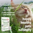 thumbnail image 5 of HomeoPet Feline NOSE RELIEF Nasal and Sinus Health Support Drops for Cats, 15 mL, 5 of 9