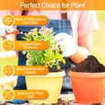 thumbnail image 3 of Expanding Coir Fiber Potting Soil-50 Pcs Nursery Compressed Organic Plant Soil,Coco Coir Pellet Fiber Soil Indoor Seed Starters Kit for Window Herb Flower Microgreens Succulent, 3 of 7