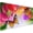 Tulip Flowers and Butterfly, variant on Cute Rubber Ducks XL Large Mouse Pad with Stitched Edges Long Non-Slip Rubber Base Mousepad Yellow Cartoon Ducky Laptop Keyboard Mat Desk Pad for Office Home Desk Decor, 31.5" X 11.8"