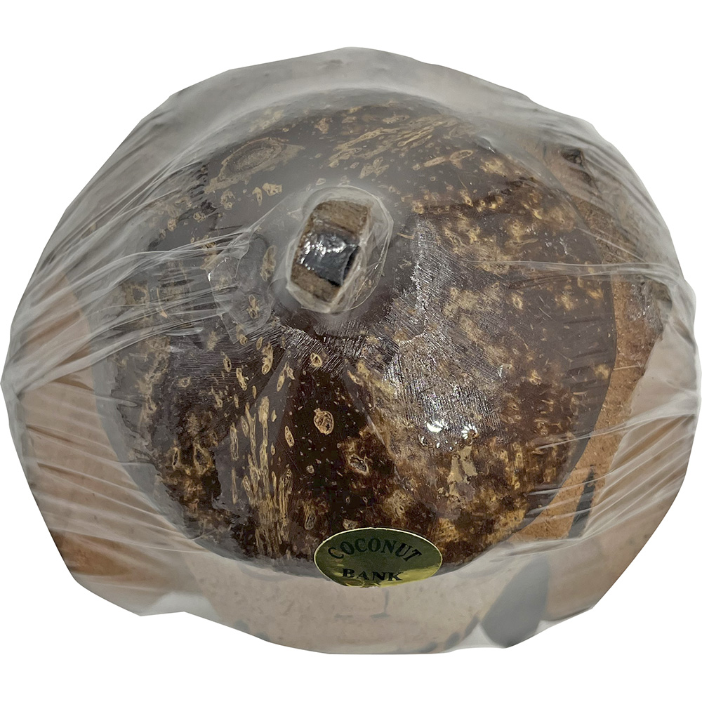 South Seas Native Treasures Real Coconut Monkey Money Bank