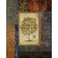 thumbnail image 3 of Marcon, Michael 12x14 Black Modern Framed Museum Art Print Titled - Eucalyptus Tree II, 3 of 5