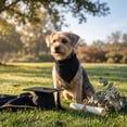 thumbnail image 6 of Graduation Dog Bandana, Funny "My Mommy Did It" & "It Was Ruff, But We Did It" Pet Bib Scarf for Class of 2026 Ceremony, Adjustable Triangle Neck Tie for Photo Props C, 6 of 7