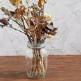 thumbnail image 1 of 10 Pcs Support de Grenouille pour Pot Mason, Grille d'Insertion pour Arrangement Floral, 1 of 9
