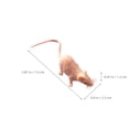 thumbnail image 4 of 24Set Compact Mouse Decor Durable and Long-lasting Collectible, 4 of 8