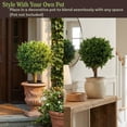 thumbnail image 5 of Pure Garden Set of 2 Hedyotis Artificial Trees - UV-Resistant Fake Plants, 5 of 8