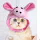 thumbnail image 3 of Gorro para mascotas, poliéster ligero, suave, cómodo, portátil, bonito gorro para gatos y perros, 3 of 5