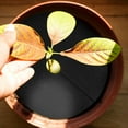 thumbnail image 1 of LEEYNEER 30pcs Non-Woven Tree Cover Rings Plant Root Protector Breathable Garden Fabric Tree Base Cover Tree Mulch Protector Non Woven Tree Mulch Pad Reusable Garden Mat, 1 of 8