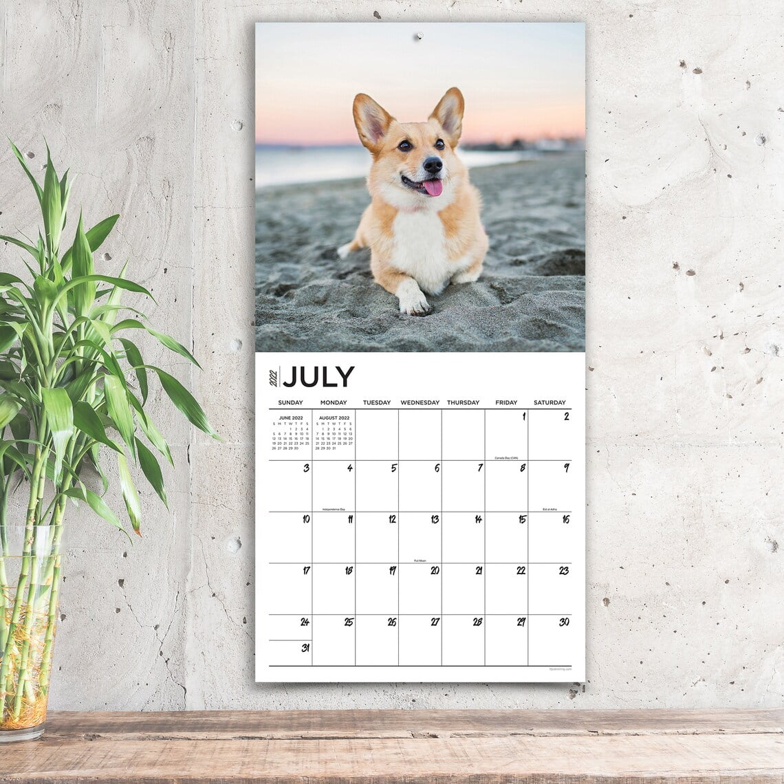 Welsh Dog 2019 DieCut Desktop Calendar GLA Desk Calendars