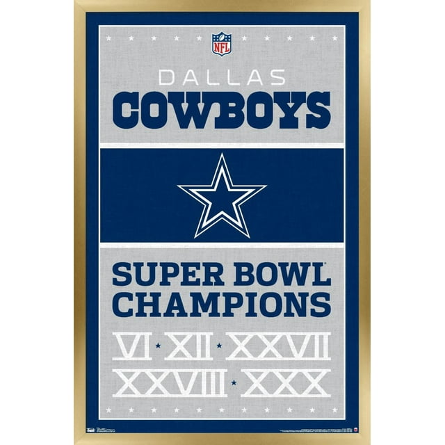 Cowboys de Dallas de la NFL - Champions 13