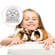 thumbnail image 2 of Rueda de ejercicio para correr con forma de erizo y soporte para mascotas, rueda para correr, hámster, juguetes deportivos, 2 of 6