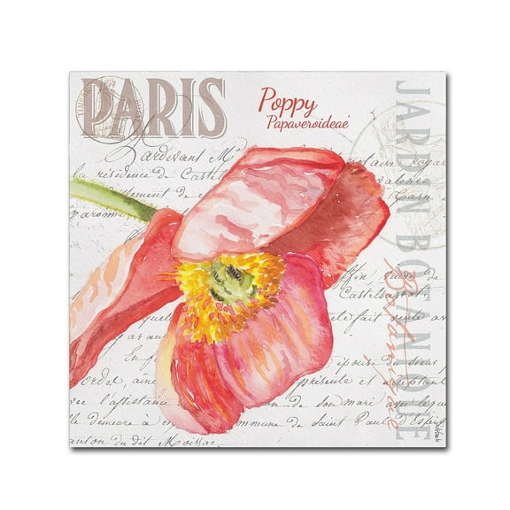 "Paris Botanique Red Poppy" Canvas Art by Jennifer Redstreake