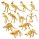 thumbnail image 2 of Modelos de esqueleto de dinosaurios Hugo Juguetes de Arqueología, 2 of 10