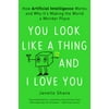 You Look Like a Thing and I Love You: How Artificial Intelligence Works and Why It's Making the World a Weirder Place [Paperback - Used]