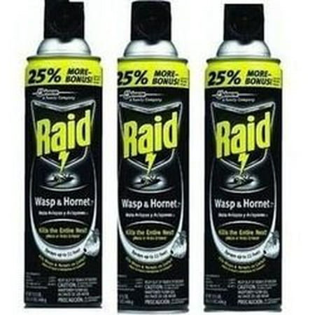 Raid - Raid Wasp and Hornet Spray- 3 Pack