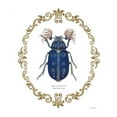 thumbnail image 2 of Wiens, James 20x24 White Modern Wood Framed Museum Art Print Titled - Adorning Coleoptera III, 2 of 4