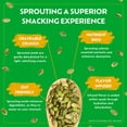 thumbnail image 3 of Go Raw Pumpkin Seeds with Sea Salt, Sprouted & Organic, 14 oz. Bag | Keto | Vegan | Gluten Free Snacks | Superfood, 3 of 6
