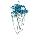 thumbnail image 3 of Adornos naturales Sunnimix Flores secas prensadas caja del teléfono azul, 3 of 8