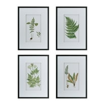 Botanical Fern Wall Art - Black, White