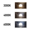 thumbnail image 3 of Bombilla LED de bajo voltaje CA/CC 12V 24V 36V 48V 3W 5W 10W superbrillante sin estroboscópico E27 B22 adecuada para bombillas de batería solar, 1-10 piezas, 3 of 4
