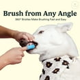 thumbnail image 4 of Jasper Dog Toothbrush Silicone Finger Toothbrush for Puppies, Cats and Small Pets 2 Pack Clear, 4 of 7