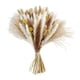 thumbnail image 5 of Ramo de hierba, hierba seca, decoración, ramas, ramo floral, flores secas para Estilo D, 5 of 9
