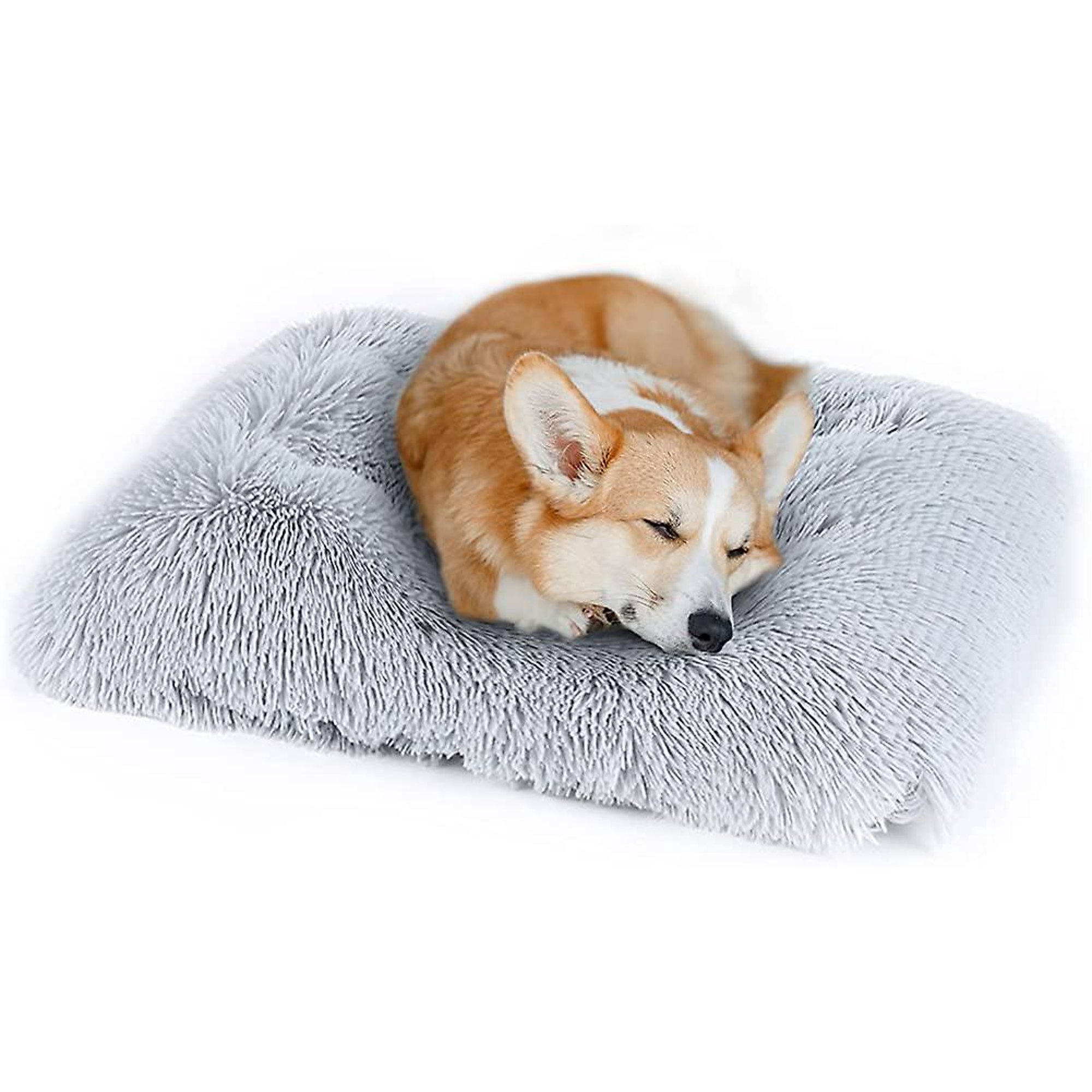 How Can I Soften My Dogs Matted Fur