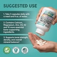 thumbnail image 6 of Allin1 Calcium Magnesium Zinc Supplement with Potassium, Copper, Strontium, Silica, Vitamin D3 K2, Boron, Vitamin B1 B12 Red Clover Herb Alfalfa Basil Pills for Men & Women Clean Nutra Osteo Defend, 6 of 9