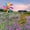 B, variant on 47in Windmill Decorative Craft Pinwheel with Metal Stake Sculpture f Patio Courtyard Holiday Outdoor A