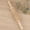 A  straight, variant on Wooden Therapy Massager Roller Trigger Point Massager Stick for Fascia Cellulite Muscle & Abdomen Body, Muscle Belly Relief Too