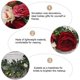thumbnail image 5 of Rose Wreath Headwear For Women Perfect For Photo Shoots Carnival And Masquerade Events In Red Color For Festivals 1Pack, 5 of 5